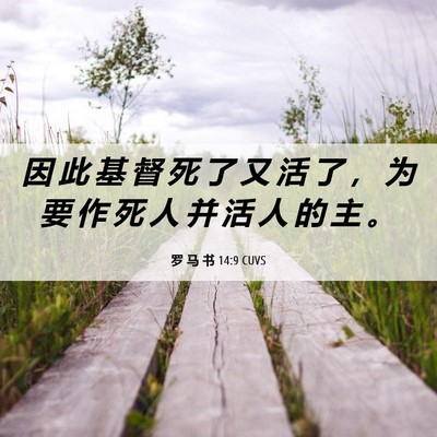 Picture 06 - 罗 马 书 14:9 CUVS - 因 此 基 督 死 了 又 活 了 ， 为 要 - Bible Verse Picture