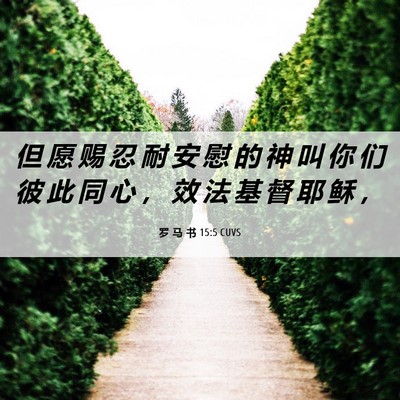 Picture 06 - 罗 马 书 15:5 CUVS - 但 愿 赐 忍 耐 安 慰 的 神 叫 你 们 - Bible Verse Picture