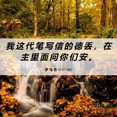 Picture 06 - 罗 马 书 16:22 CUVS - 我 这 代 笔 写 信 的 德 丢 ， 在 主 - Bible Verse Picture