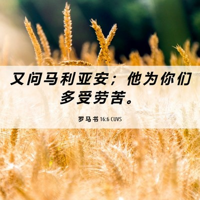 Picture 06 - 罗 马 书 16:6 CUVS - 又 问 马 利 亚 安 ； 他 为 你 们 多 - Bible Verse Picture