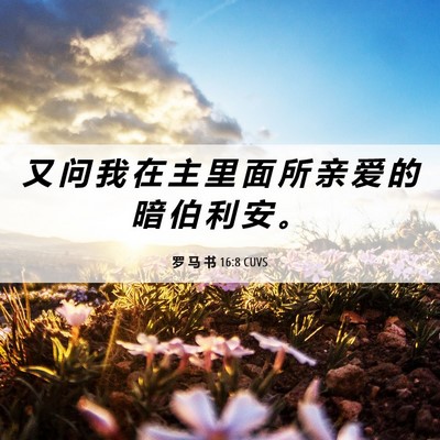 Picture 06 - 罗 马 书 16:8 CUVS - 又 问 我 在 主 里 面 所 亲 爱 的 暗 - Bible Verse Picture