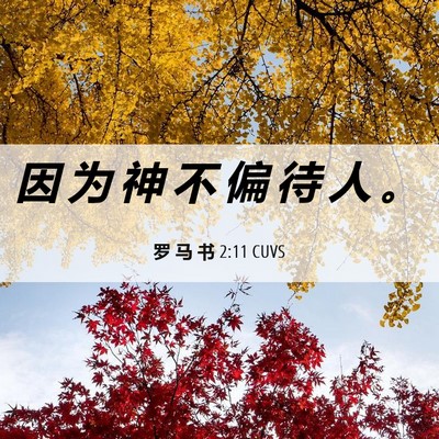 Picture 06 - 罗 马 书 2:11 CUVS - 因 为 神 不 偏 待 人 - Bible Verse Picture