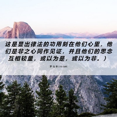 Picture 06 - 罗 马 书 2:15 CUVS - 这 是 显 出 律 法 的 功 用 刻 在 他 - Bible Verse Picture