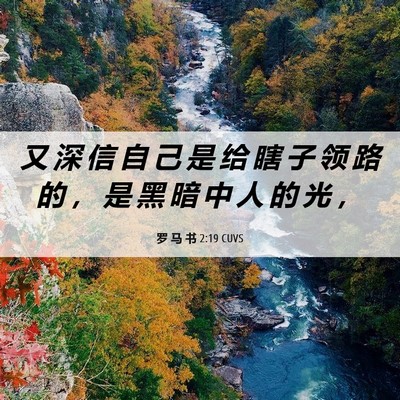 Picture 06 - 罗 马 书 2:19 CUVS - 又 深 信 自 己 是 给 瞎 子 领 路 的 - Bible Verse Picture