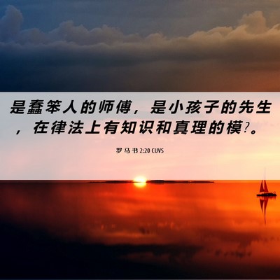 Picture 06 - 罗 马 书 2:20 CUVS - 是 蠢 笨 人 的 师 傅 ， 是 小 孩 子 - Bible Verse Picture