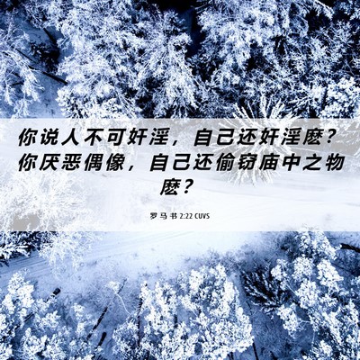 Picture 06 - 罗 马 书 2:22 CUVS - 你 说 人 不 可 奸 淫 ， 自 己 还 奸 - Bible Verse Picture
