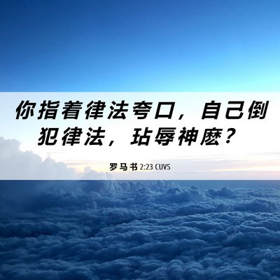 Picture 06 - 罗 马 书 2:23 CUVS - 你 指 着 律 法 夸 口 ， 自 己 倒 犯 - Bible Verse Picture