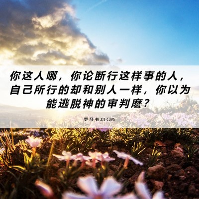 Picture 06 - 罗 马 书 2:3 CUVS - 你 这 人 哪 ， 你 论 断 行 这 样 事 - Bible Verse Picture