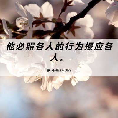Picture 06 - 罗 马 书 2:6 CUVS - 他 必 照 各 人 的 行 为 报 应 各 人 - Bible Verse Picture