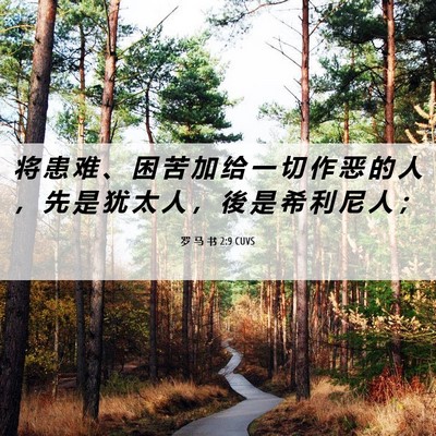 Picture 06 - 罗 马 书 2:9 CUVS - 将 患 难 、 困 苦 加 给 一 切 作 恶 - Bible Verse Picture