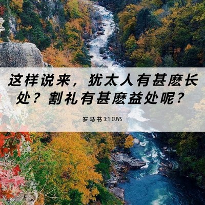 Picture 06 - 罗 马 书 3:1 CUVS - 这 样 说 来 ， 犹 太 人 有 甚 麽 长 - Bible Verse Picture