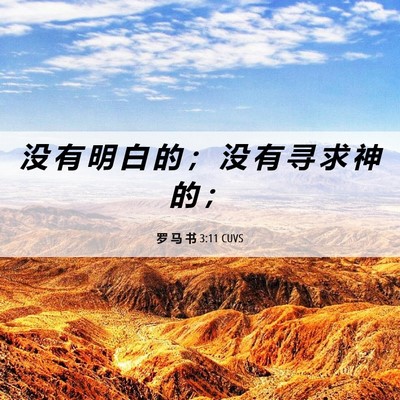 Picture 06 - 罗 马 书 3:11 CUVS - 没 有 明 白 的 ； 没 有 寻 求 神 的 - Bible Verse Picture