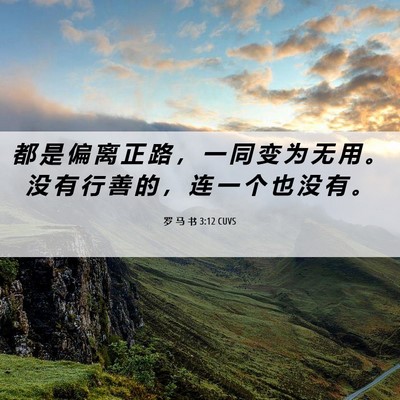 Picture 06 - 罗 马 书 3:12 CUVS - 都 是 偏 离 正 路 ， 一 同 变 为 无 - Bible Verse Picture