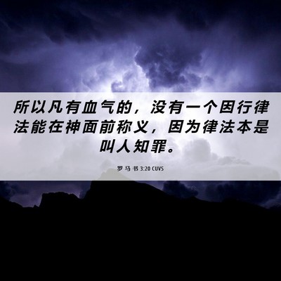 Picture 06 - 罗 马 书 3:20 CUVS - 所 以 凡 有 血 气 的 ， 没 有 一 个 - Bible Verse Picture