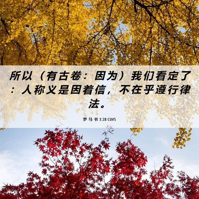 Picture 06 - 罗 马 书 3:28 CUVS - 所 以 （ 有 古 卷 ： 因 为 ） 我 们 - Bible Verse Picture