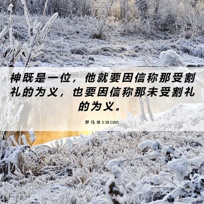 Picture 06 - 罗 马 书 3:30 CUVS - 神 既 是 一 位 ， 他 就 要 因 信 称 - Bible Verse Picture