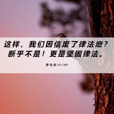 Picture 06 - 罗 马 书 3:31 CUVS - 这 样 ， 我 们 因 信 废 了 律 法 麽 - Bible Verse Picture