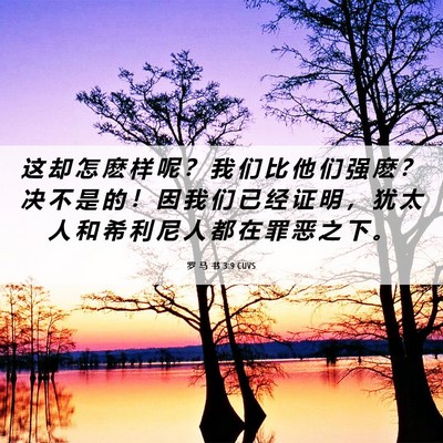 Picture 06 - 罗 马 书 3:9 CUVS - 这 却 怎 麽 样 呢 ？ 我 们 比 他 们 - Bible Verse Picture