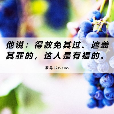Picture 06 - 罗 马 书 4:7 CUVS - 他 说 ： 得 赦 免 其 过 、 遮 盖 其 - Bible Verse Picture