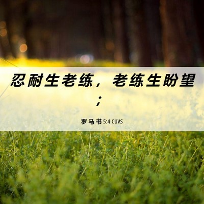 Picture 06 - 罗 马 书 5:4 CUVS - 忍 耐 生 老 练 ， 老 练 生 盼 望 - Bible Verse Picture