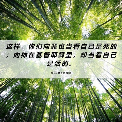 Picture 06 - 罗 马 书 6:11 CUVS - 这 样 ， 你 们 向 罪 也 当 看 自 己 - Bible Verse Picture