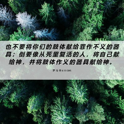 Picture 06 - 罗 马 书 6:13 CUVS - 也 不 要 将 你 们 的 肢 体 献 给 罪 - Bible Verse Picture