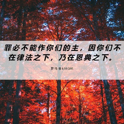 Picture 06 - 罗 马 书 6:14 CUVS - 罪 必 不 能 作 你 们 的 主 ， 因 你 - Bible Verse Picture