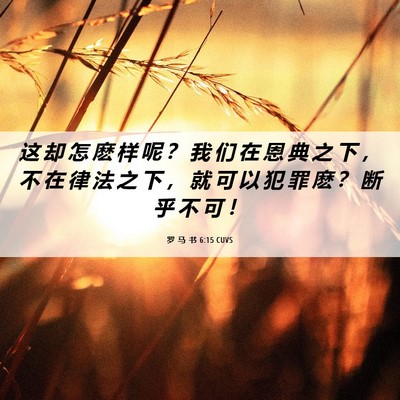 Picture 06 - 罗 马 书 6:15 CUVS - 这 却 怎 麽 样 呢 ？ 我 们 在 恩 典 - Bible Verse Picture