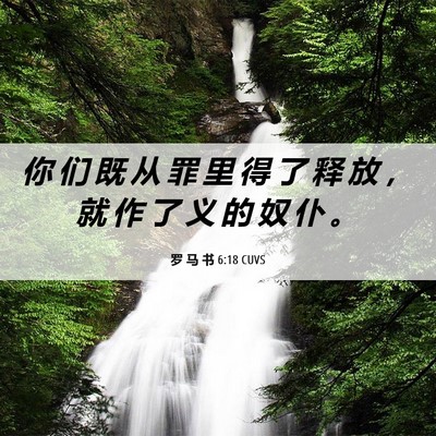Picture 06 - 罗 马 书 6:18 CUVS - 你 们 既 从 罪 里 得 了 释 放 ， 就 - Bible Verse Picture
