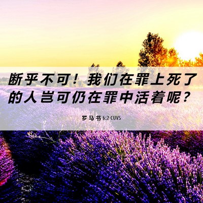 Picture 06 - 罗 马 书 6:2 CUVS - 断 乎 不 可 ！ 我 们 在 罪 上 死 了 - Bible Verse Picture