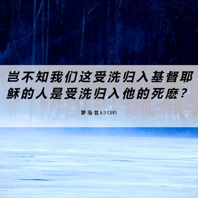 Picture 06 - 罗 马 书 6:3 CUVS - 岂 不 知 我 们 这 受 洗 归 入 基 督 - Bible Verse Picture