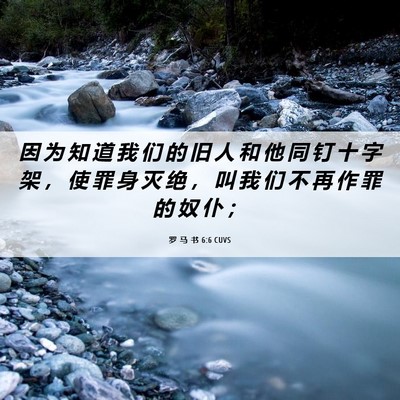 Picture 06 - 罗 马 书 6:6 CUVS - 因 为 知 道 我 们 的 旧 人 和 他 同 - Bible Verse Picture