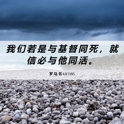 Picture 06 - 罗 马 书 6:8 CUVS - 我 们 若 是 与 基 督 同 死 ， 就 信 - Bible Verse Picture