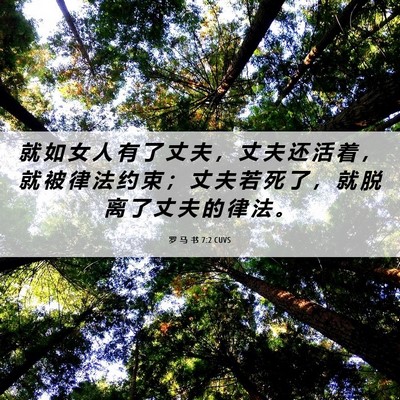 Picture 06 - 罗 马 书 7:2 CUVS - 就 如 女 人 有 了 丈 夫 ， 丈 夫 还 - Bible Verse Picture