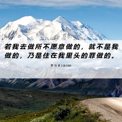 Picture 06 - 罗 马 书 7:20 CUVS - 若 我 去 做 所 不 愿 意 做 的 ， 就 - Bible Verse Picture