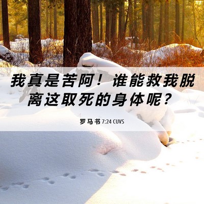 Picture 06 - 罗 马 书 7:24 CUVS - 我 真 是 苦 阿 ！ 谁 能 救 我 脱 离 - Bible Verse Picture