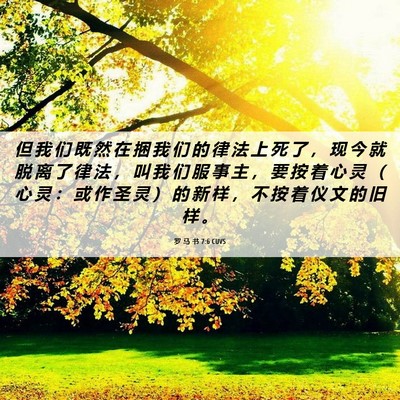 Picture 06 - 罗 马 书 7:6 CUVS - 但 我 们 既 然 在 捆 我 们 的 律 法 - Bible Verse Picture