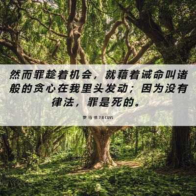 Picture 06 - 罗 马 书 7:8 CUVS - 然 而 罪 趁 着 机 会 ， 就 藉 着 诫 - Bible Verse Picture