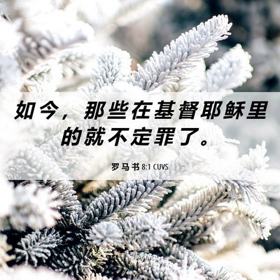Picture 06 - 罗 马 书 8:1 CUVS - 如 今 ， 那 些 在 基 督 耶 稣 里 的 - Bible Verse Picture