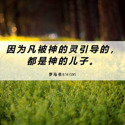 Picture 06 - 罗 马 书 8:14 CUVS - 因 为 凡 被 神 的 灵 引 导 的 ， 都 - Bible Verse Picture