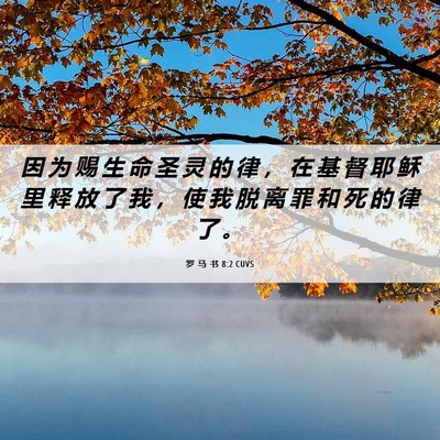 Picture 06 - 罗 马 书 8:2 CUVS - 因 为 赐 生 命 圣 灵 的 律 ， 在 基 - Bible Verse Picture