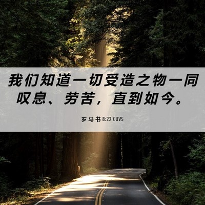 Picture 06 - 罗 马 书 8:22 CUVS - 我 们 知 道 一 切 受 造 之 物 一 同 - Bible Verse Picture