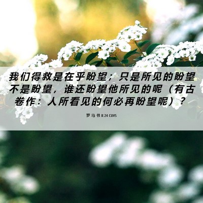 Picture 06 - 罗 马 书 8:24 CUVS - 我 们 得 救 是 在 乎 盼 望 ； 只 是 - Bible Verse Picture