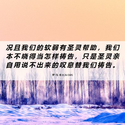 Picture 06 - 罗 马 书 8:26 CUVS - 况 且 我 们 的 软 弱 有 圣 灵 帮 助 - Bible Verse Picture