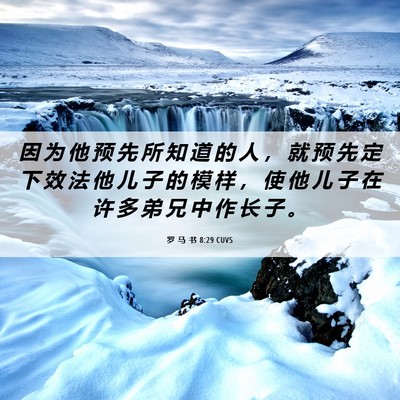 Picture 06 - 罗 马 书 8:29 CUVS - 因 为 他 预 先 所 知 道 的 人 ， 就 - Bible Verse Picture