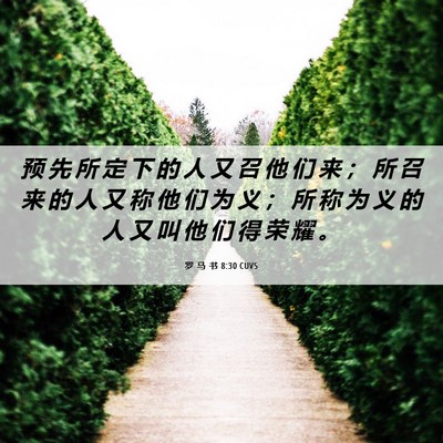 Picture 06 - 罗 马 书 8:30 CUVS - 预 先 所 定 下 的 人 又 召 他 们 来 - Bible Verse Picture