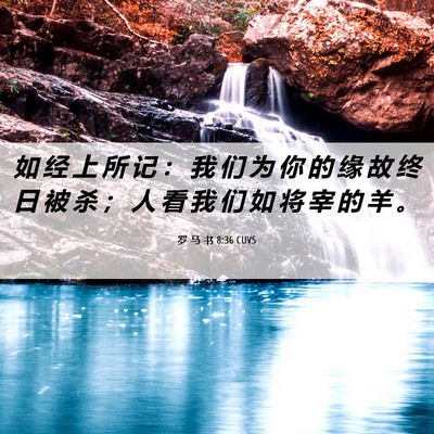 Picture 06 - 罗 马 书 8:36 CUVS - 如 经 上 所 记 ： 我 们 为 你 的 缘 - Bible Verse Picture