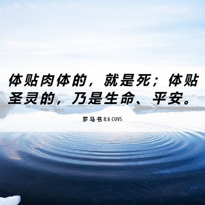 Picture 06 - 罗 马 书 8:6 CUVS - 体 贴 肉 体 的 ， 就 是 死 ； 体 贴 - Bible Verse Picture