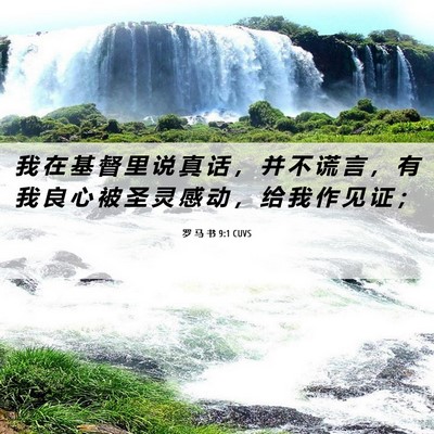 Picture 06 - 罗 马 书 9:1 CUVS - 我 在 基 督 里 说 真 话 ， 并 不 谎 - Bible Verse Picture