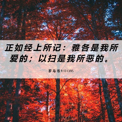 Picture 06 - 罗 马 书 9:13 CUVS - 正 如 经 上 所 记 ： 雅 各 是 我 所 - Bible Verse Picture